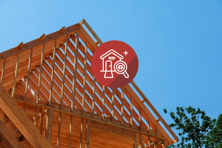 Pre Purchased Timber Pest Inspection